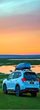 ����С���F